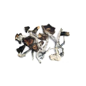 Dried Magic Mushrooms