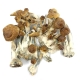 Golden Mammoth Bulk Dried Magic Mushrooms Canada