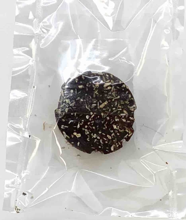 Mini Organic Chocolate Magic Mushroom Bites