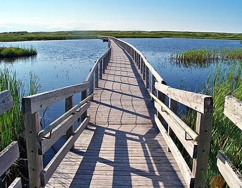 boardwalk