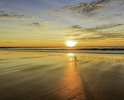 Kelly's Beach Sunrise