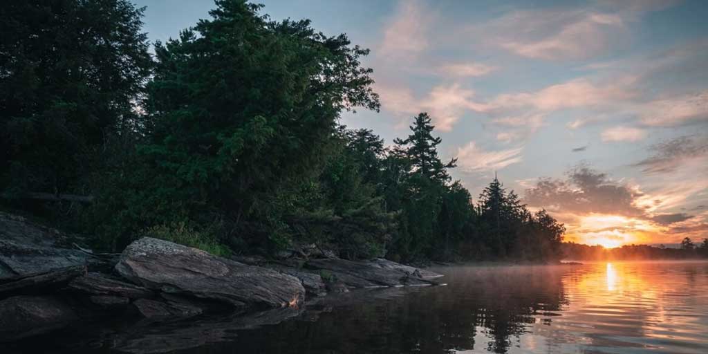 Buy Magic Mushrooms in Ontario from Three Amigos