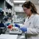 Lab technician analyzing mushroom samples for potency